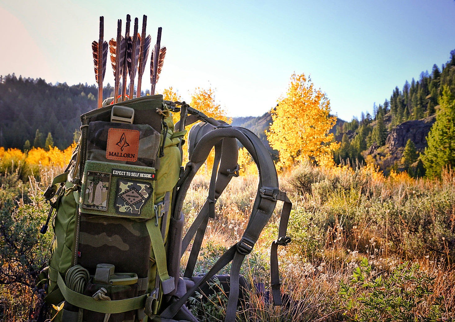 Backcountry Quiver Limited Run "Woodland Camo"